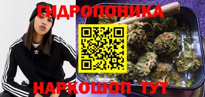 шишки Тула