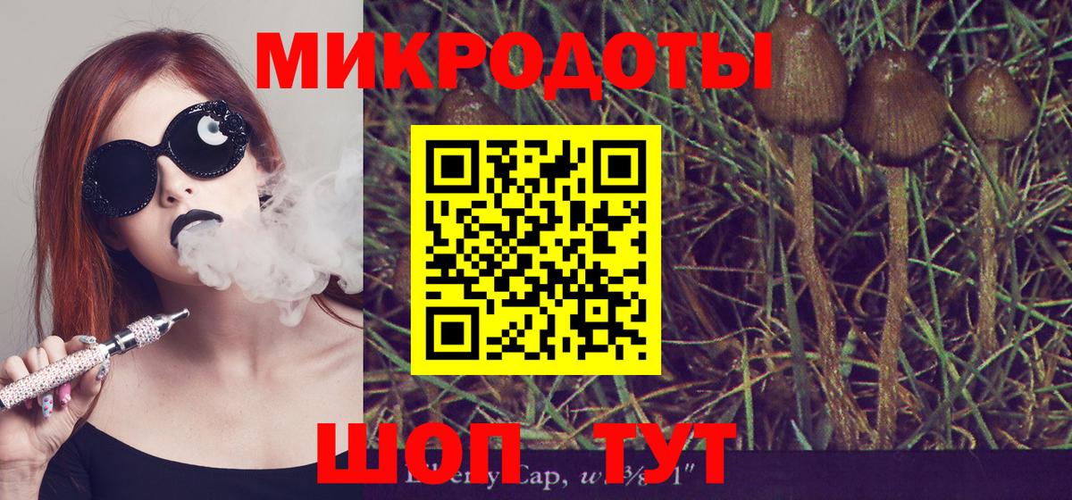Псилоцибиновые грибы Psilocybe Белая Калитва